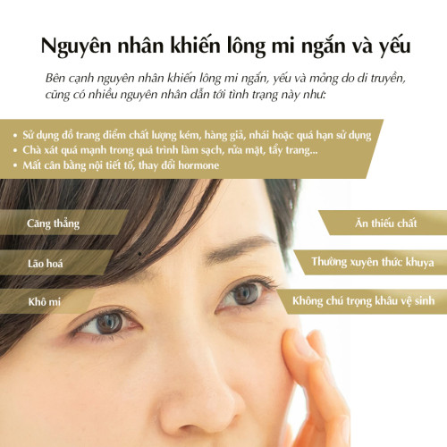 Serum dưỡng mi iLashe's Pro Cosme Marche Nhật Bản